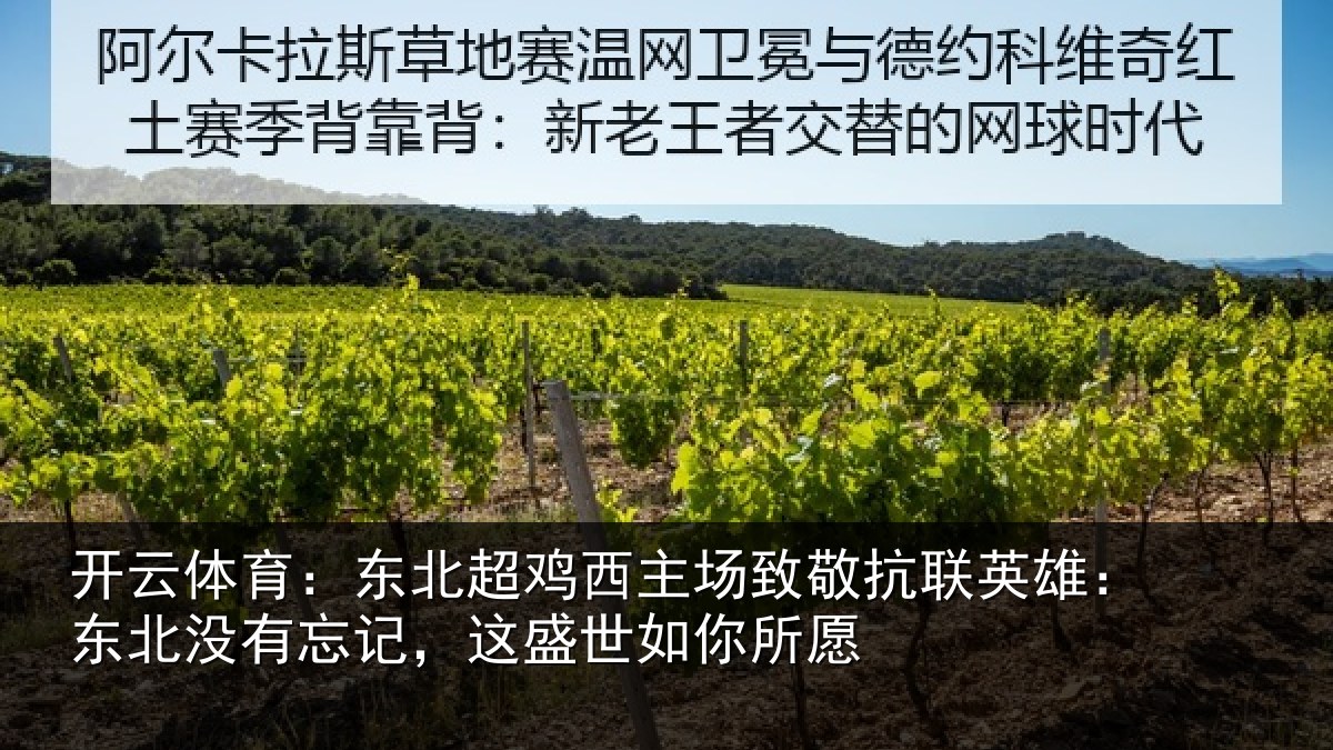 开云体育:东北超鸡西主场致敬抗联英雄:东北没有忘记,这盛世如你所愿